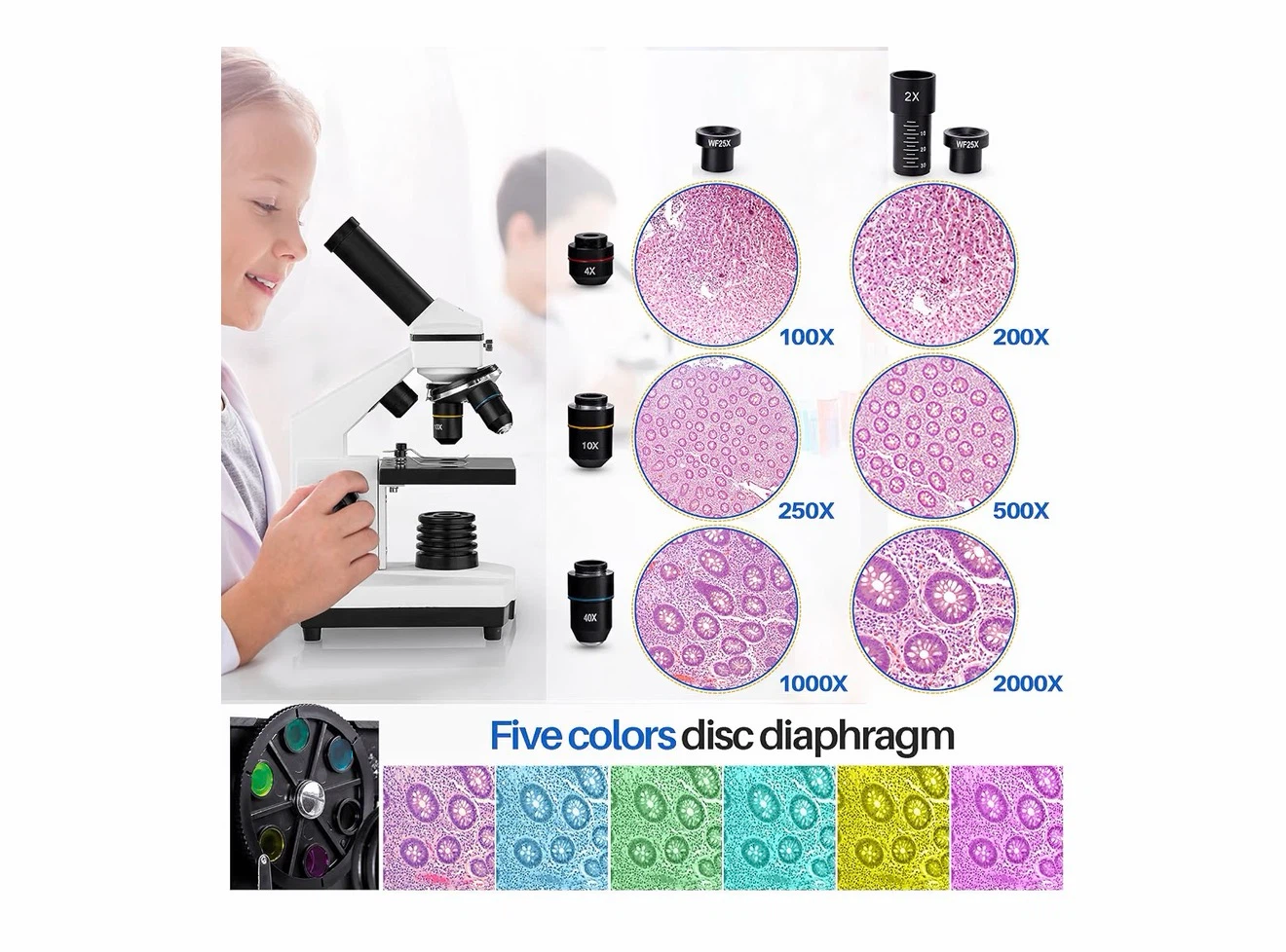 BEBANG 2000X Compound Microscope Kit for Kids Adults - photo 4