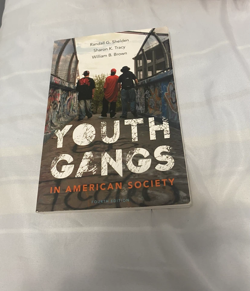 Youth Gangs in American Society: Fourth Edition Book