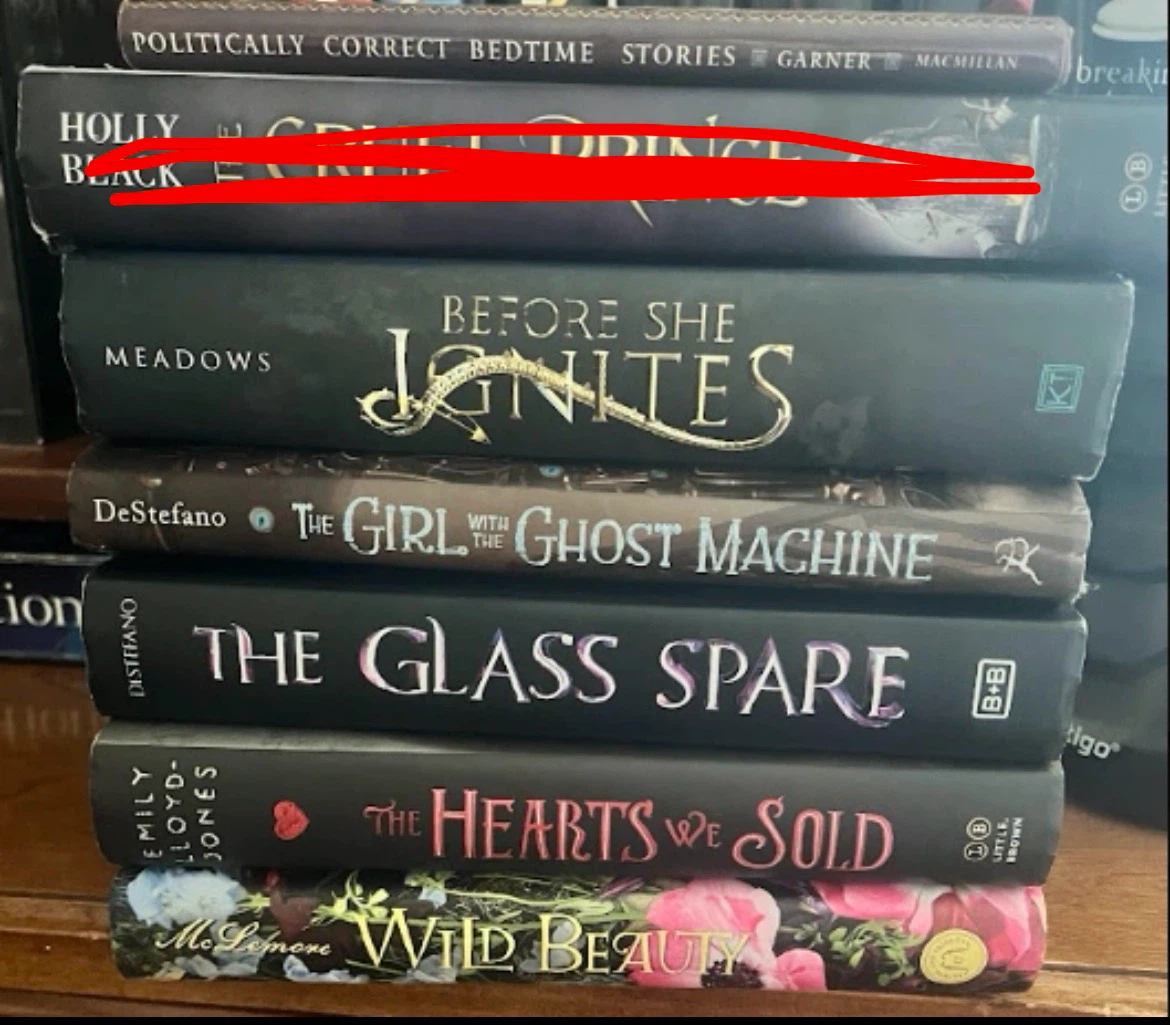 YA Fiction Book Lot - 19 Books (Hardcovers & Paperbacks)