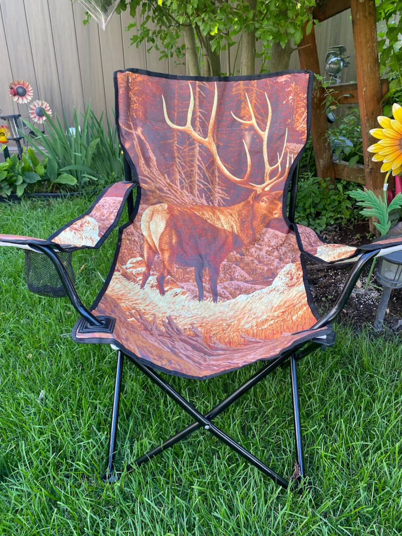 Kids Camping Chair with Moose print!