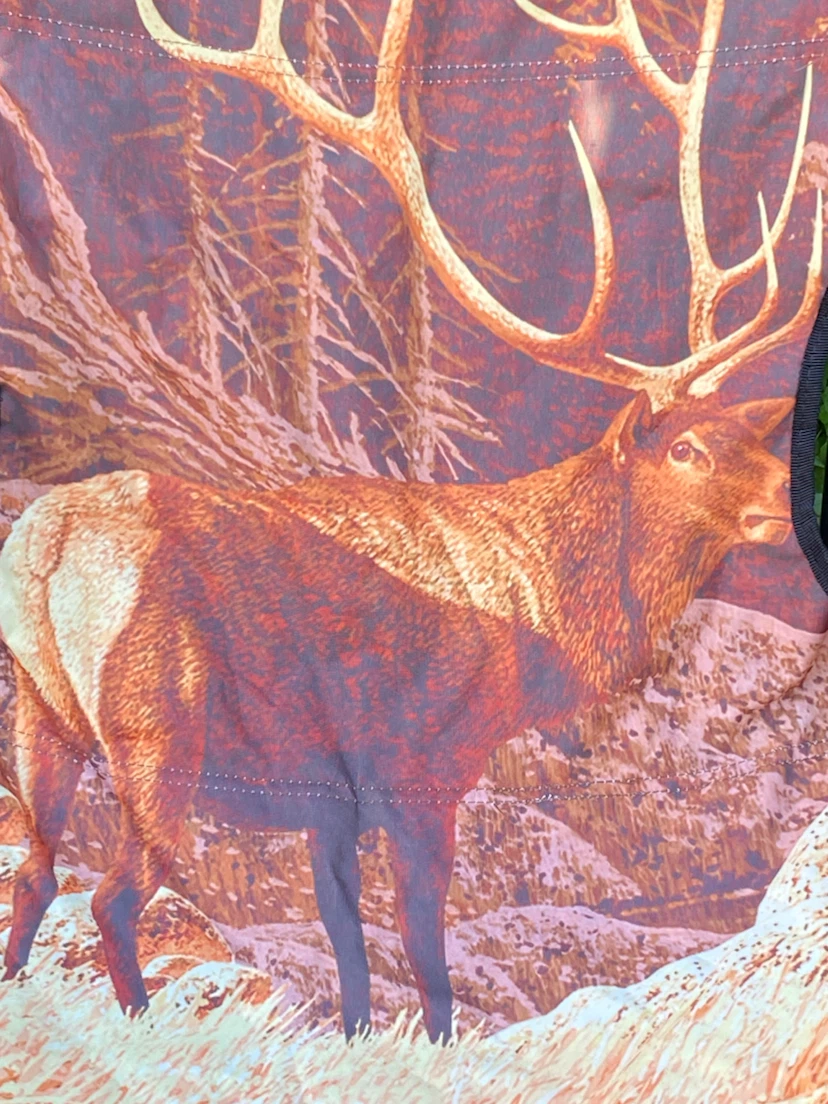 Kids Camping Chair with Moose print! - photo 2
