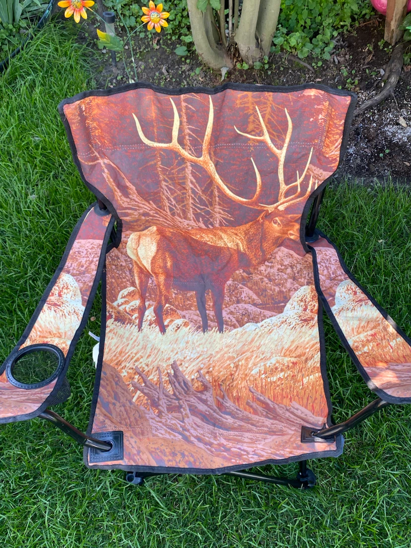 Kids Camping Chair with Moose print! - photo 4