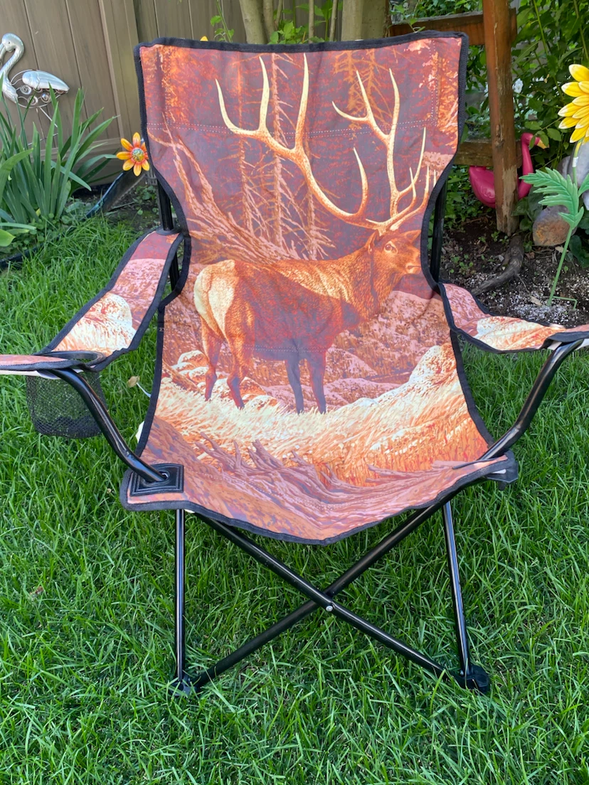 Kids Camping Chair with Moose print! - photo 5
