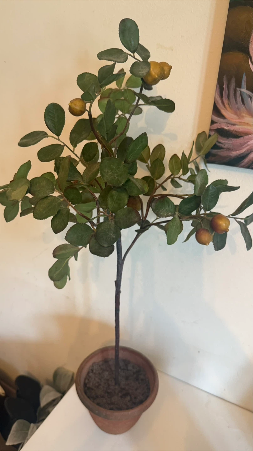 Artificial Potted Plant with Berries - photo 2