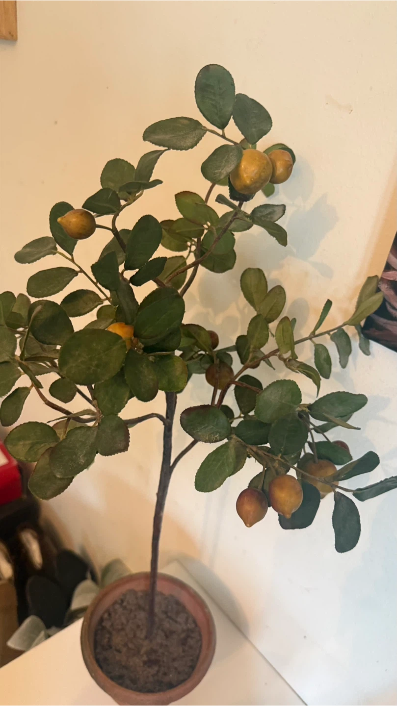 Artificial Potted Plant with Berries - photo 3