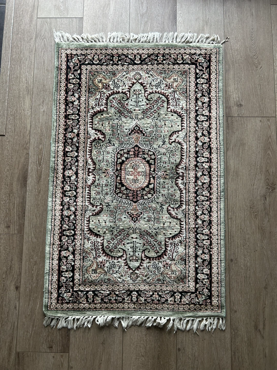 Persian Style Area Rug - 30” x 48”