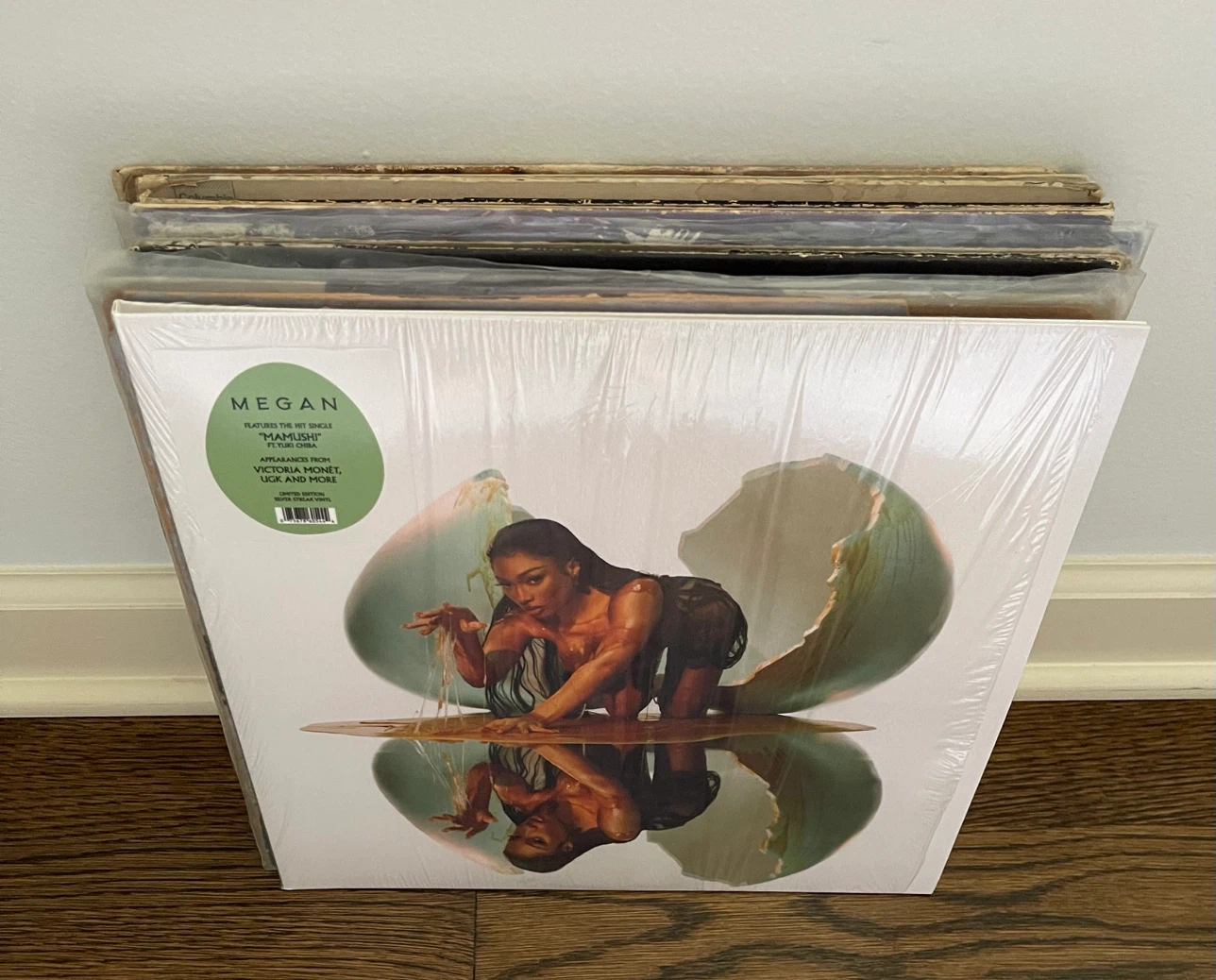 MEGAN Thee Stallion Hip Hop Pop Rock Sade Vinyl Record Lot