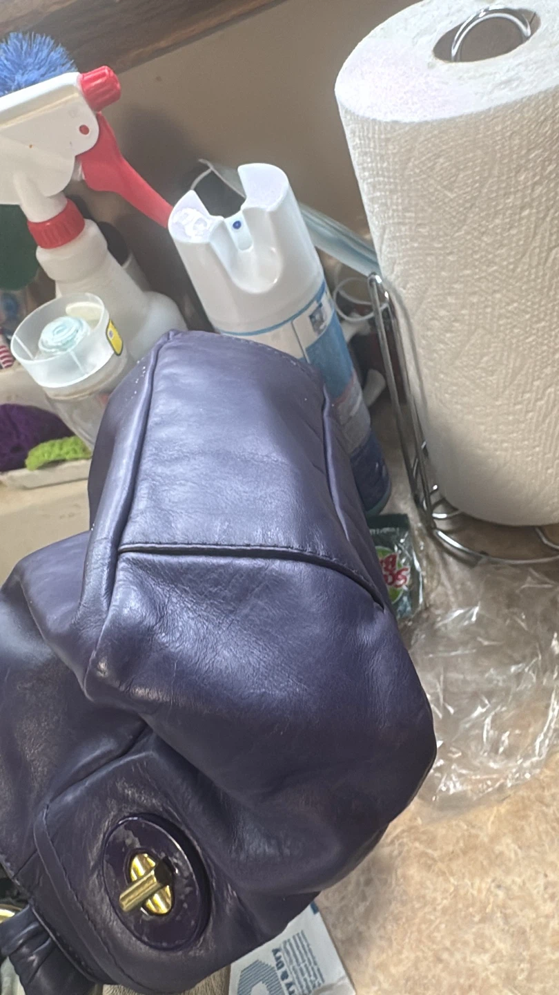 Coach mini resort Purple Leather Shoulder Bag - photo 5