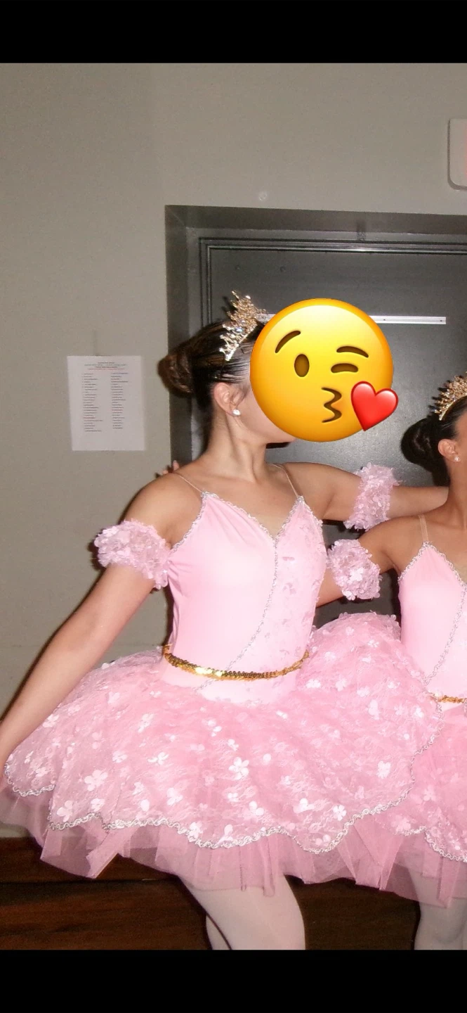 Pink Ballet Tutu Dress
