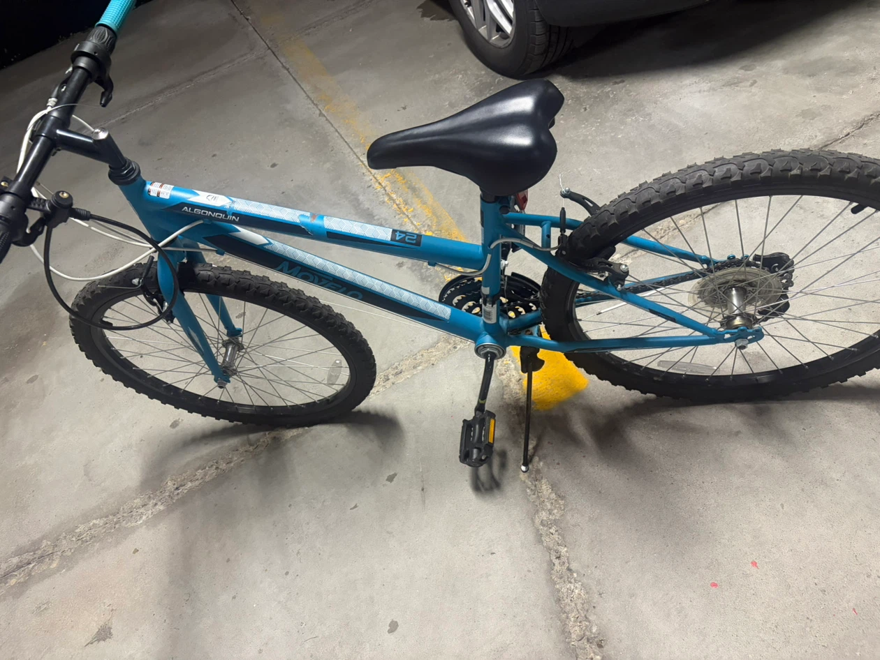Bicycle - photo 3