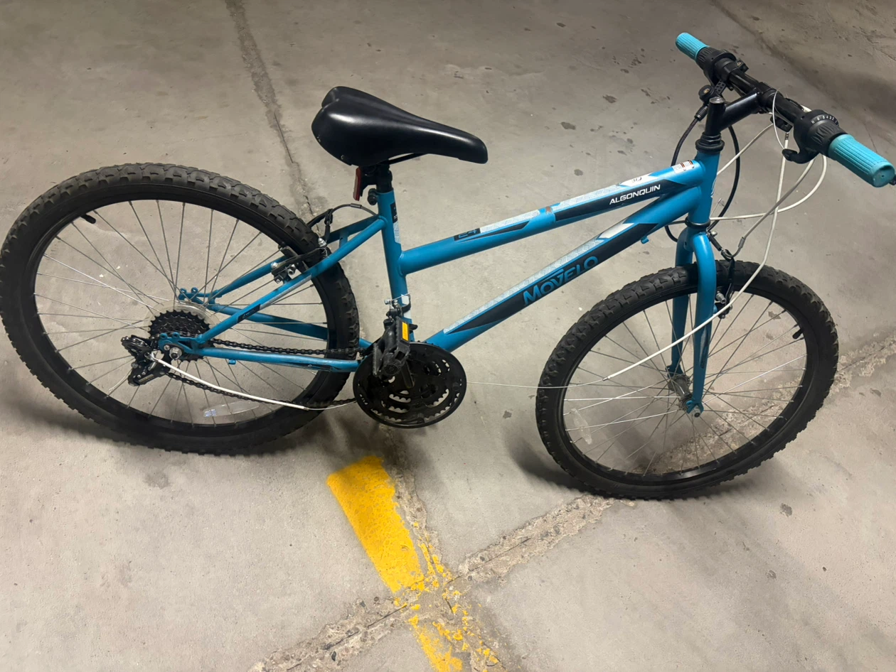 Bicycle - photo 4
