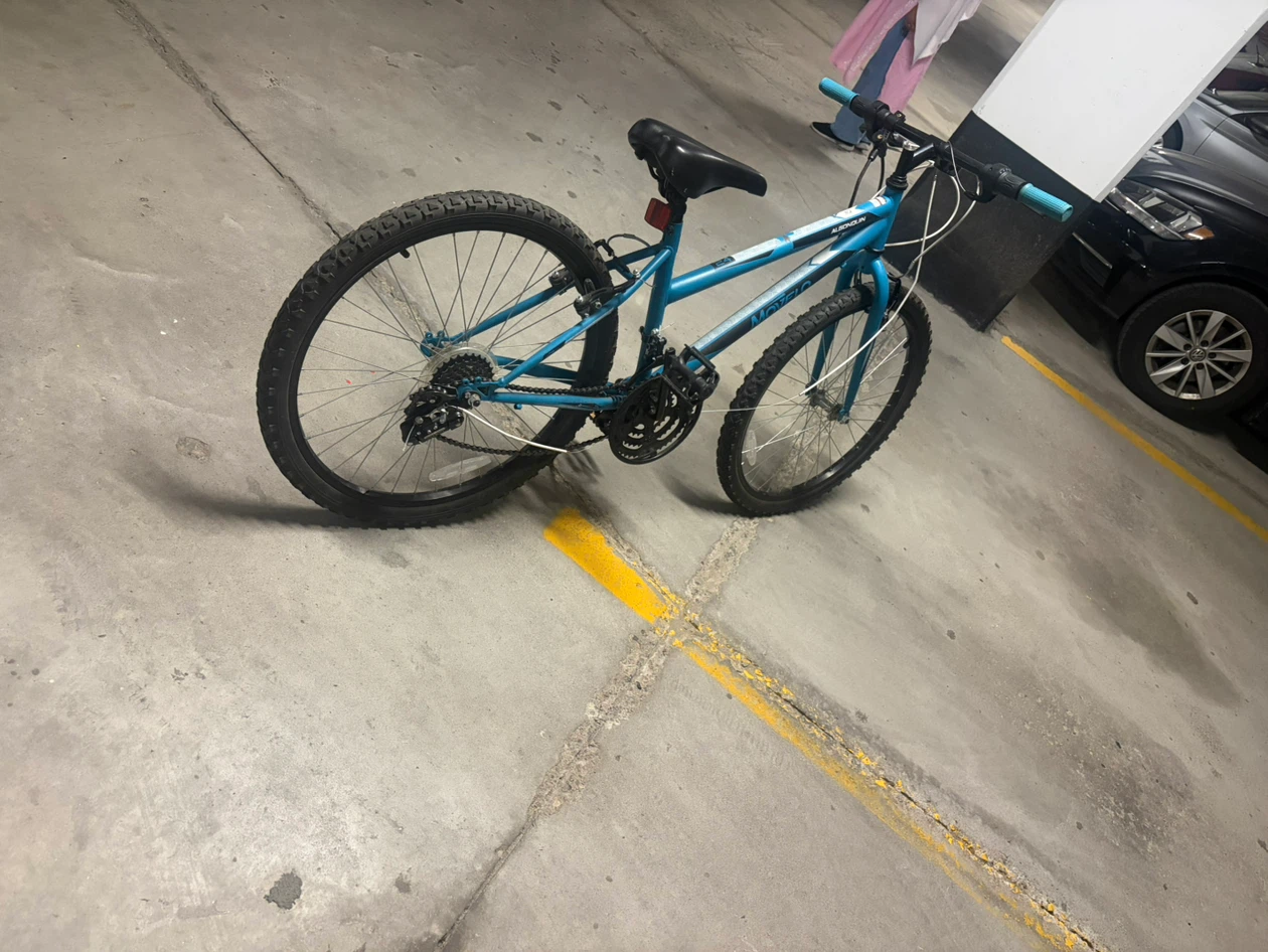 Bicycle - photo 5