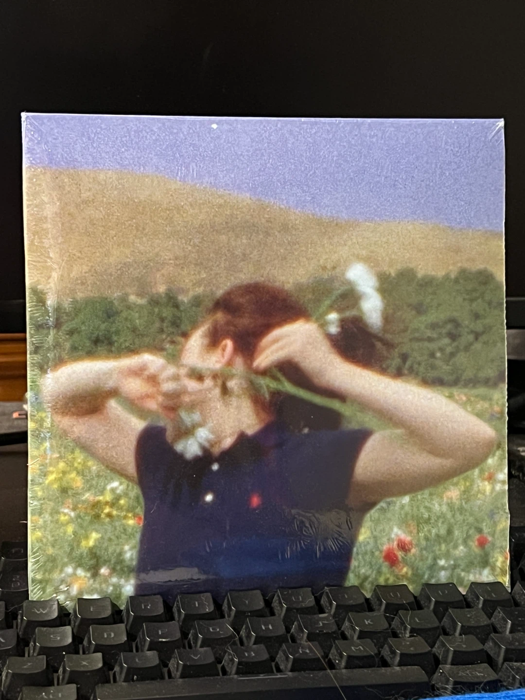 Billie Eilish BIRDS OF A FEATHER 7" Vinyl