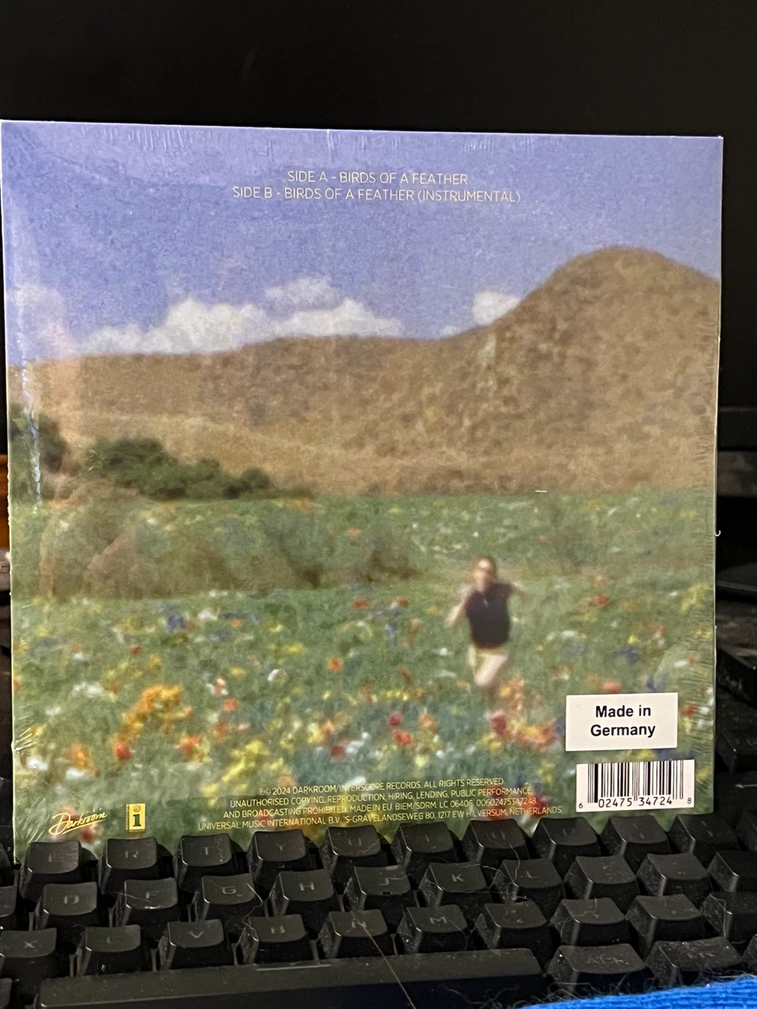 Billie Eilish BIRDS OF A FEATHER 7" Vinyl - photo 2