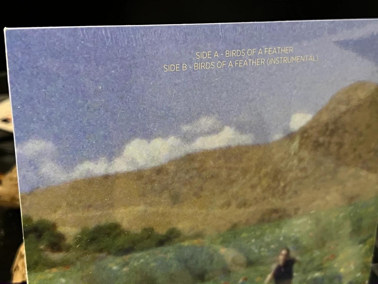 Billie Eilish BIRDS OF A FEATHER 7" Vinyl - photo 3