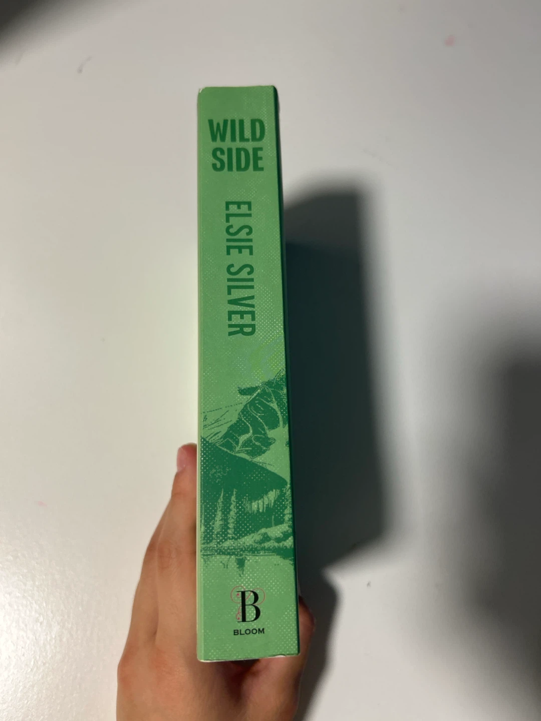 Wild Side (Rose Hill Series, Book 3) by Elsie Silver - photo 3