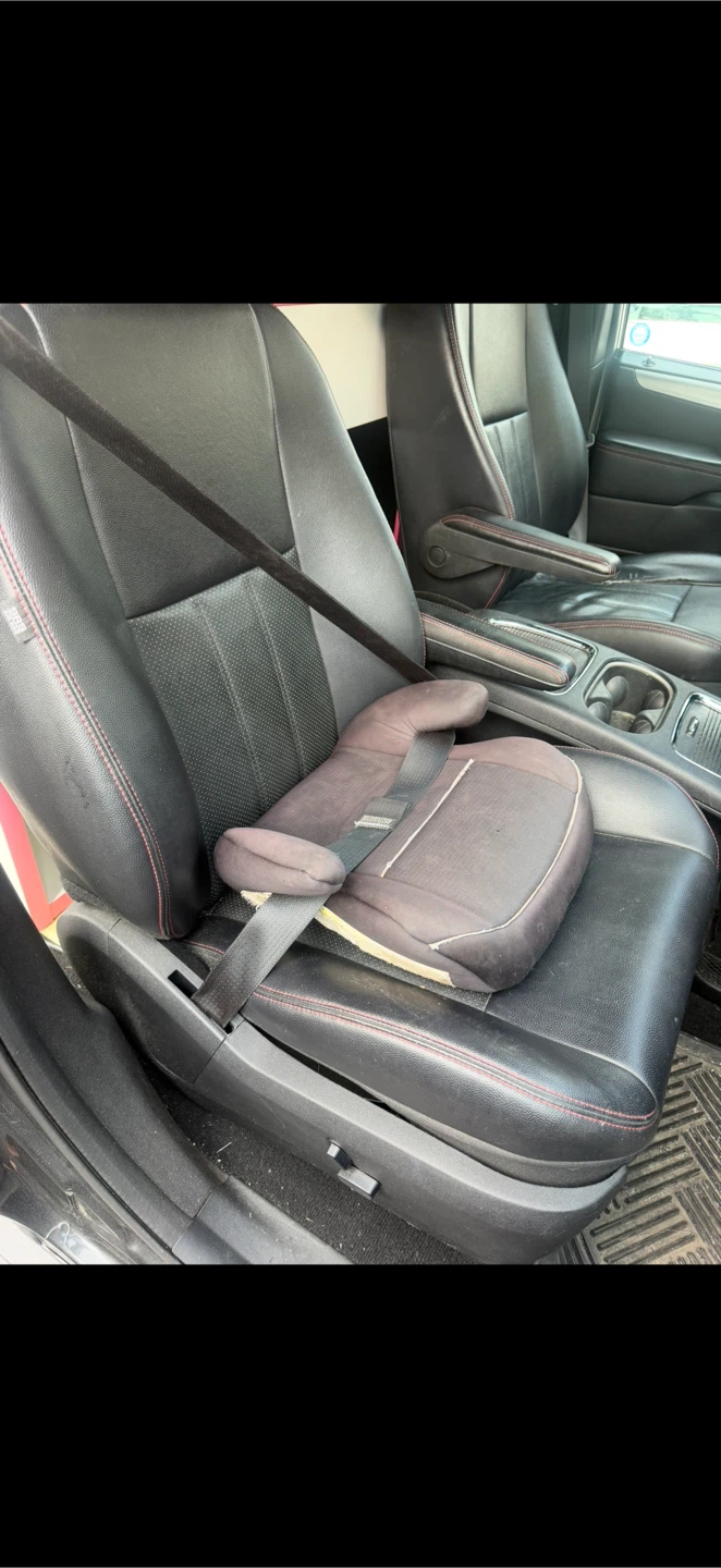 Graco Booster CarSeat