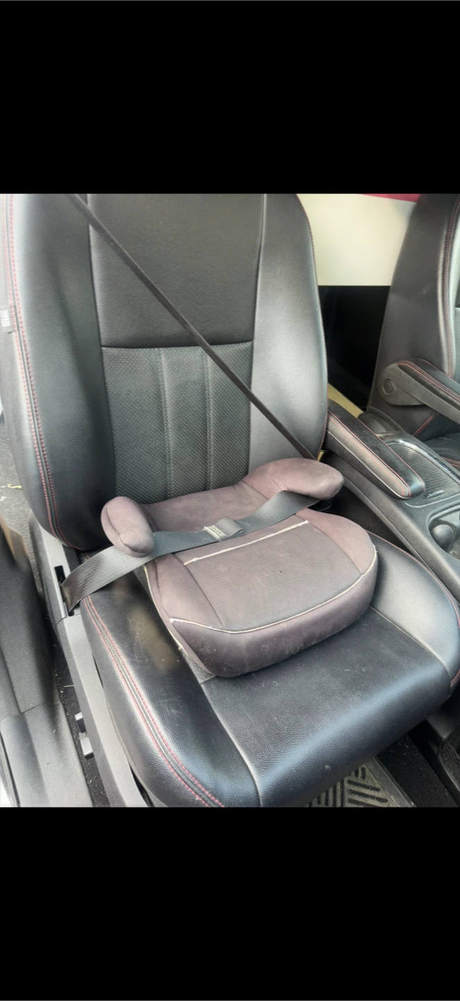 Graco Booster CarSeat - photo 5