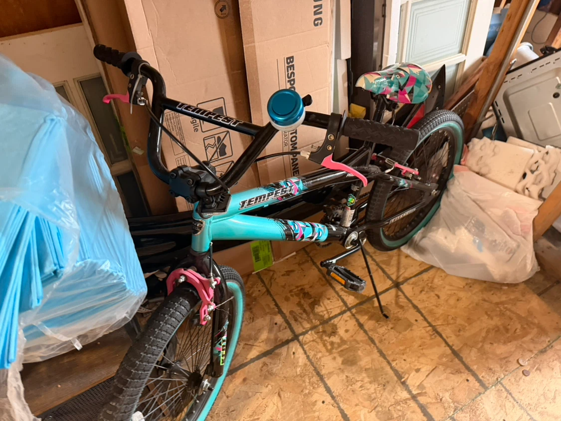 Tempest BMX Bike - Teal and Pink