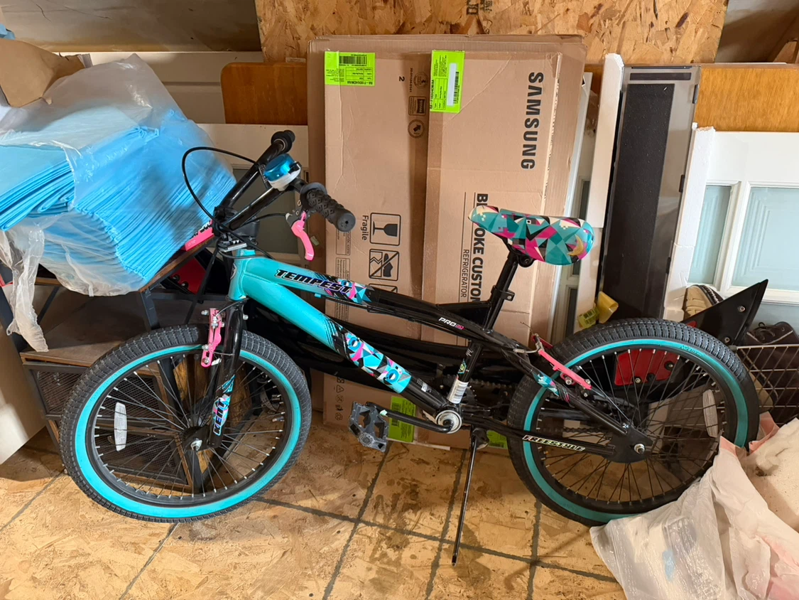 Tempest BMX Bike - Teal and Pink - photo 2