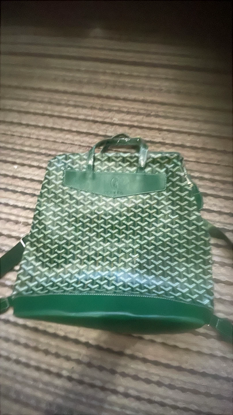 Goyard Green Backpack - photo 2