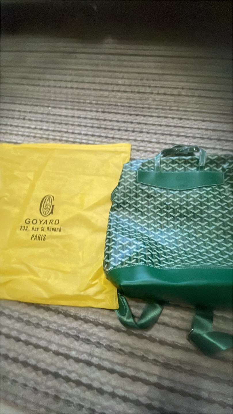 Goyard Green Backpack - photo 4