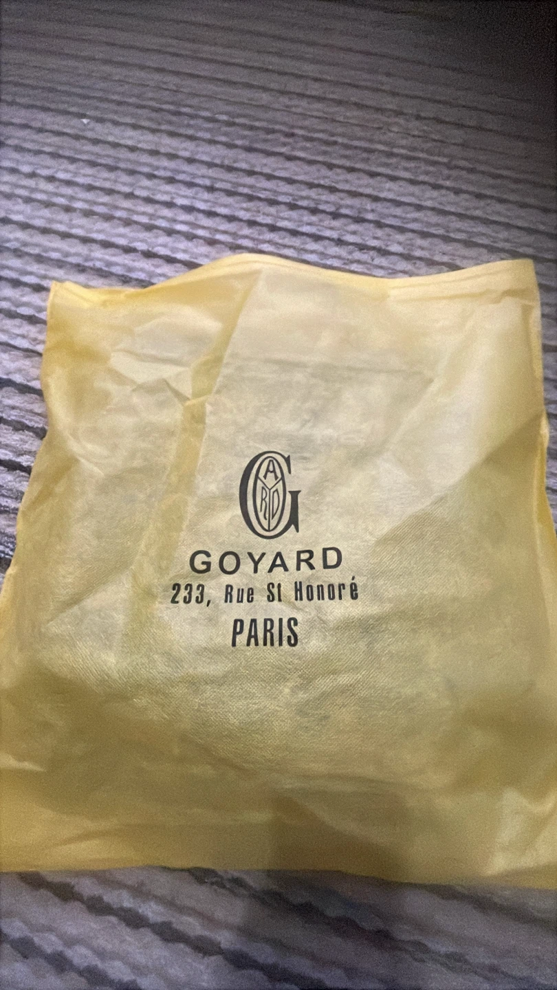 Goyard Green Backpack - photo 5