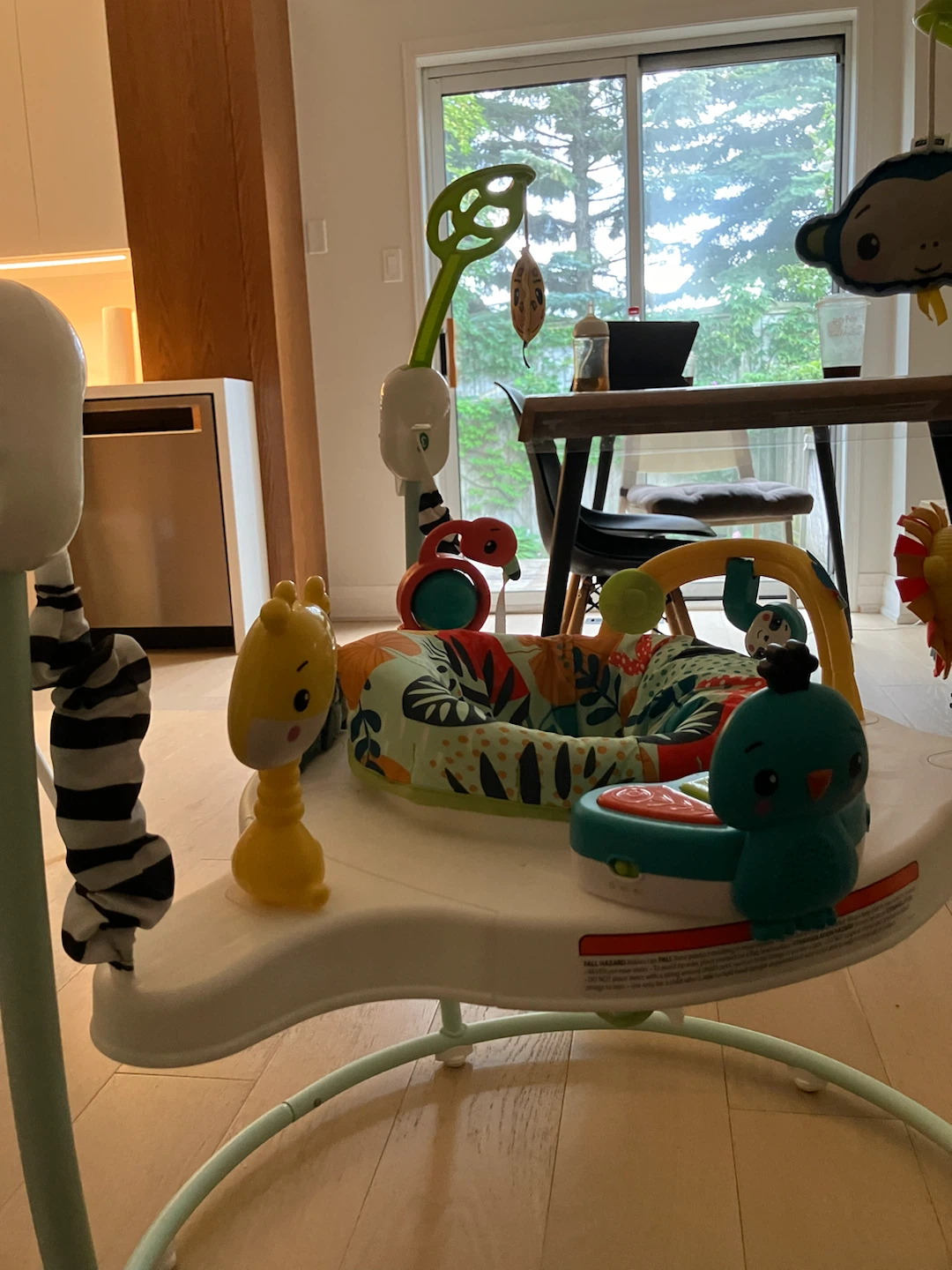 Fisher-Price Jumperoo Activity Center