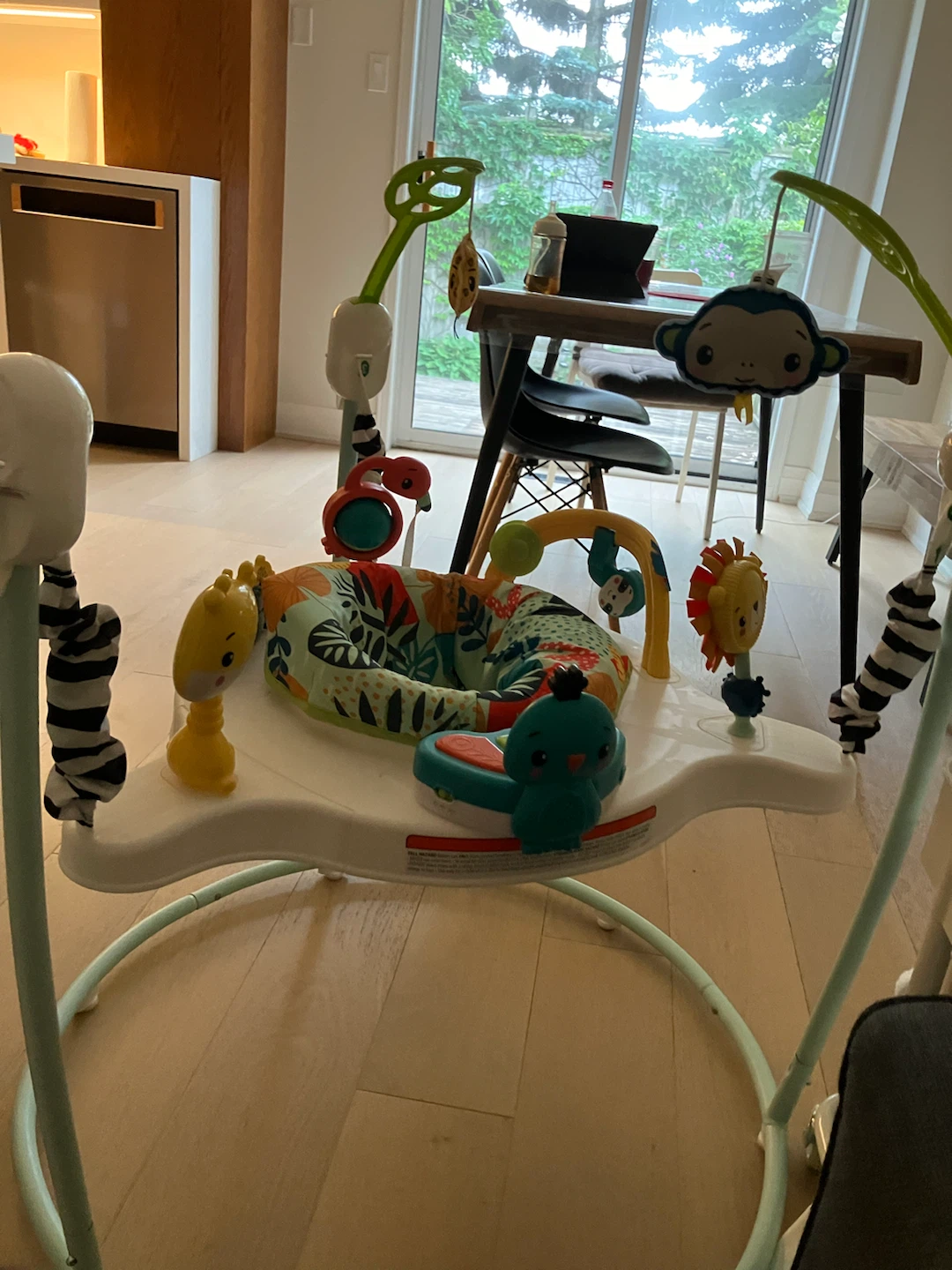 Fisher-Price Jumperoo Activity Center - photo 2