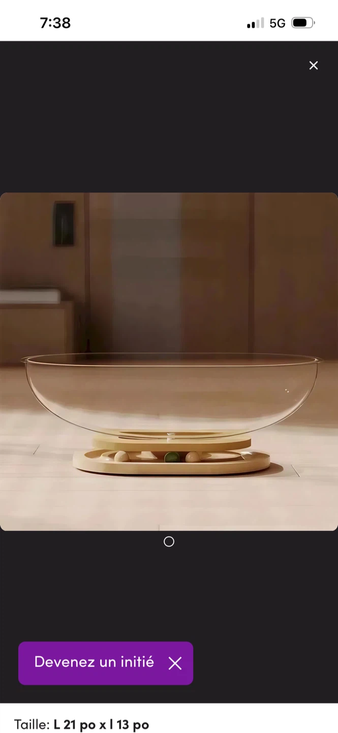 New Acrylic Space Capsule Cat Bed