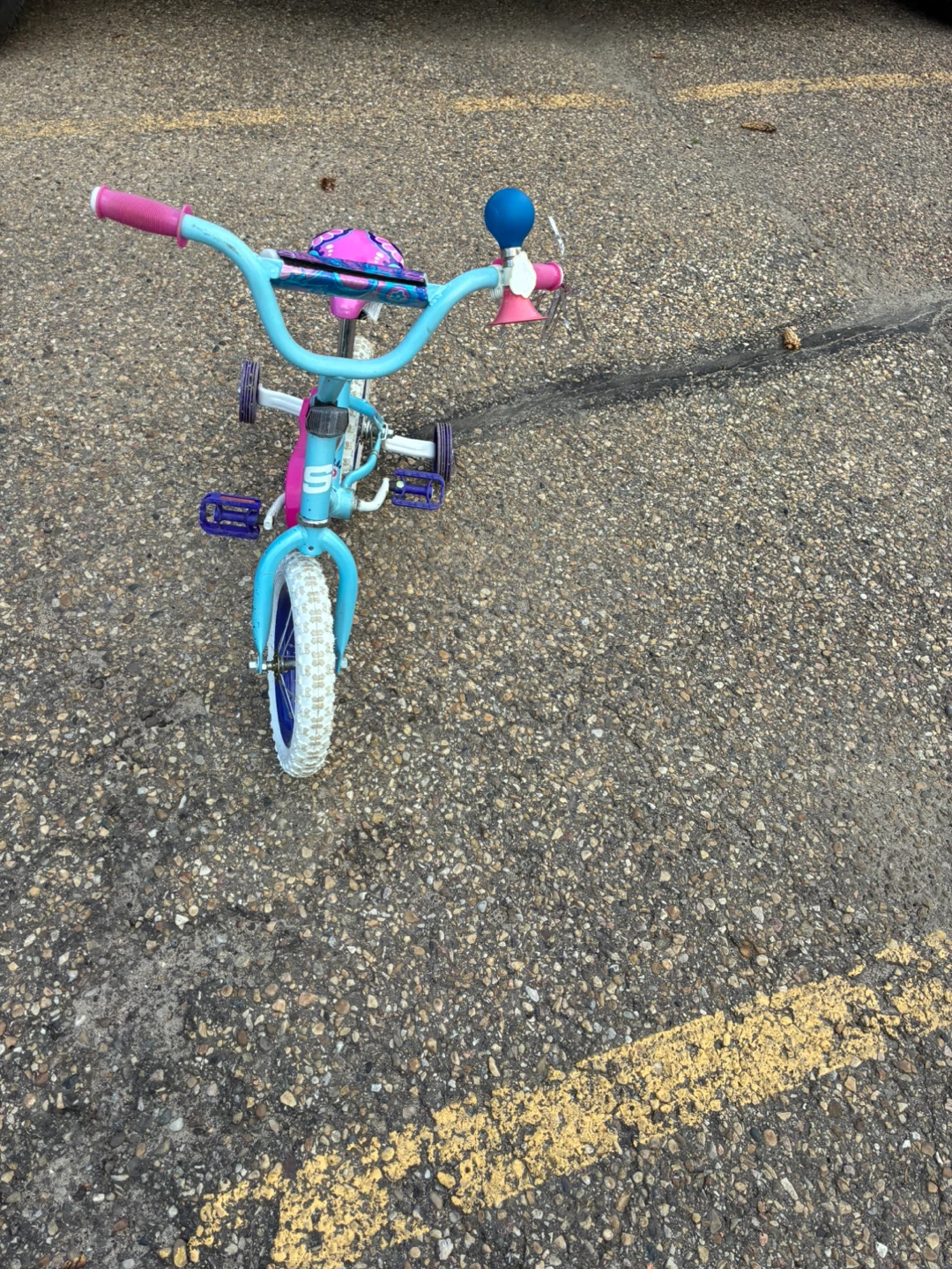 Blue and Pink Kids Bike with Training Wheels
