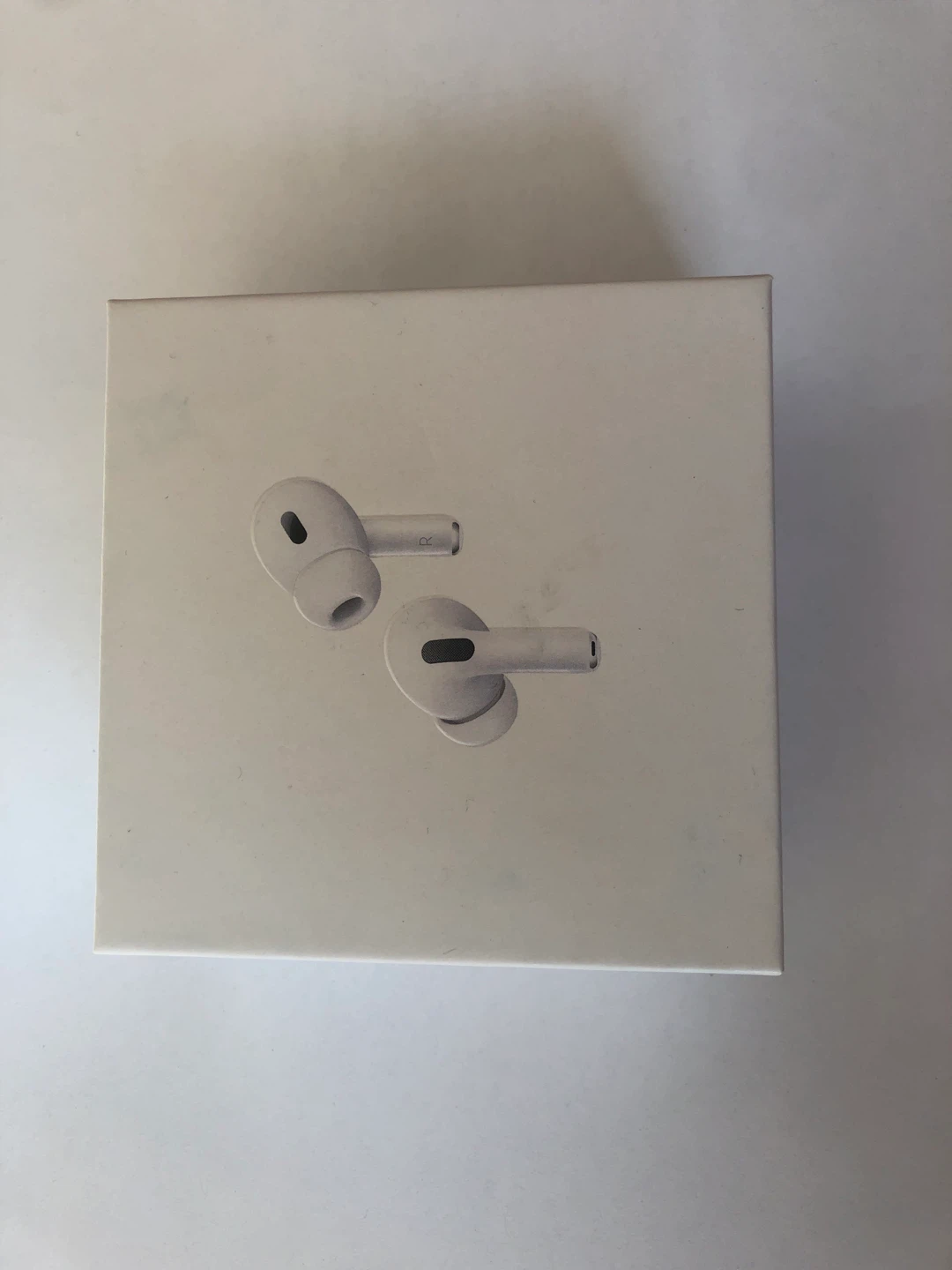 Apple AirPods Pro (1st Gen) Charging Case