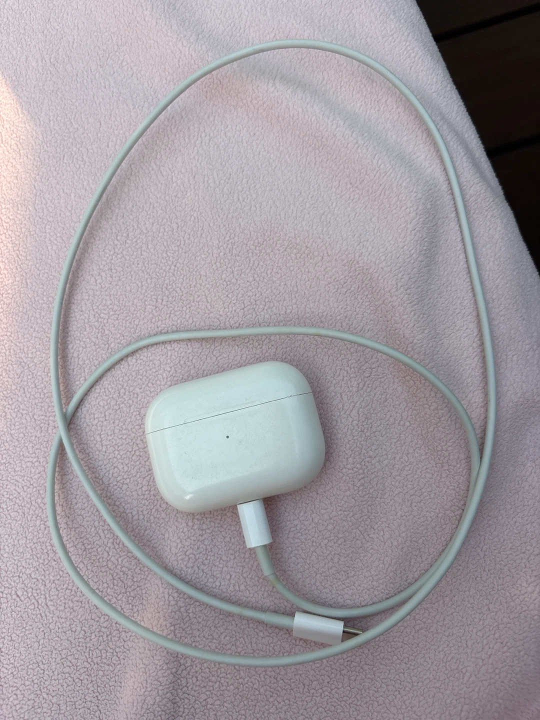 Apple AirPods Pro with USB-C to Lightning Cable