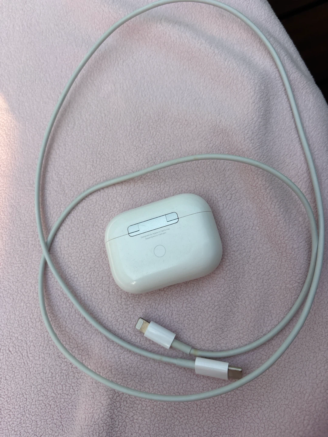 Apple AirPods Pro with USB-C to Lightning Cable - photo 2