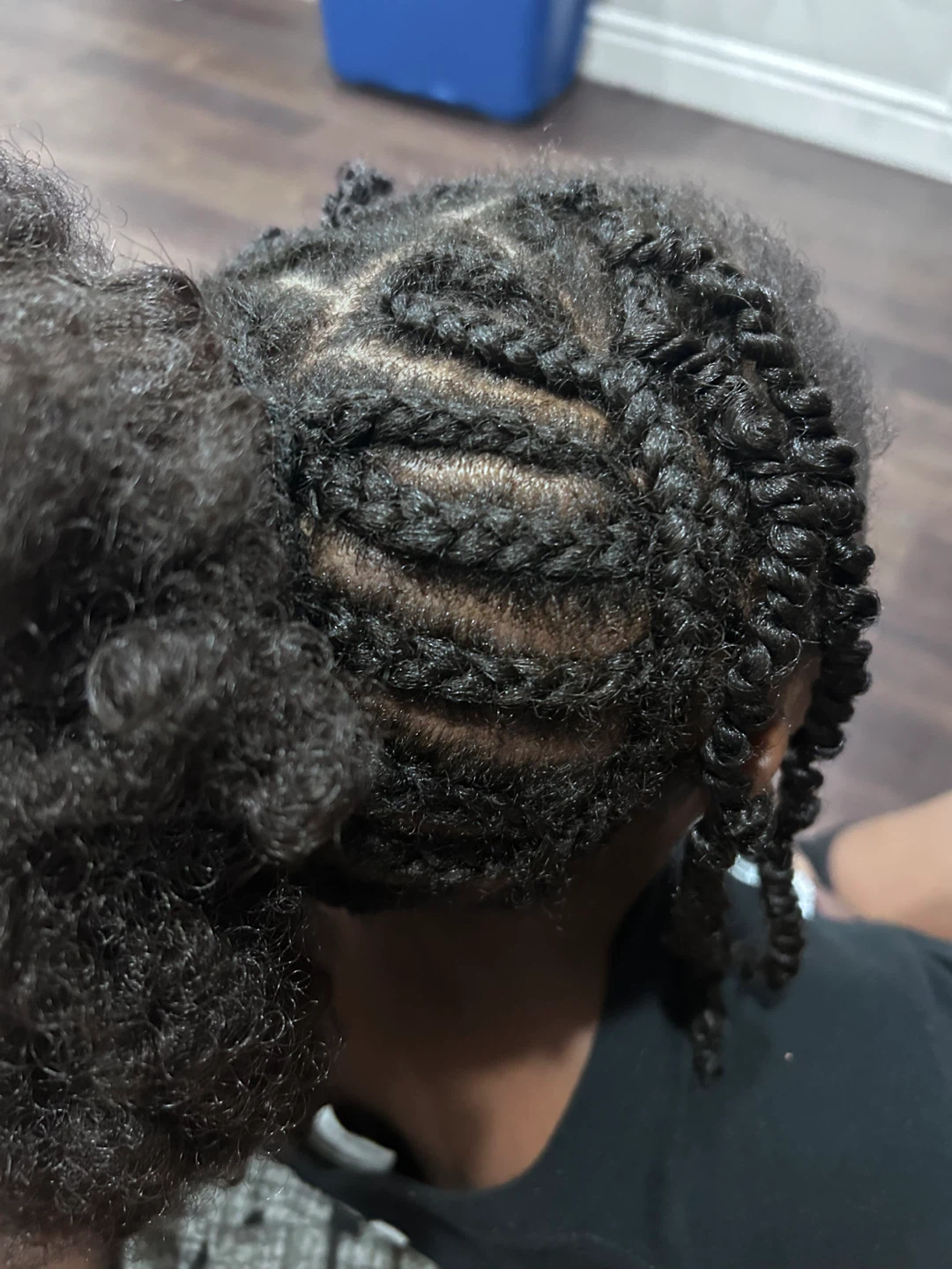 Braided Twist Hairstyles - photo 2