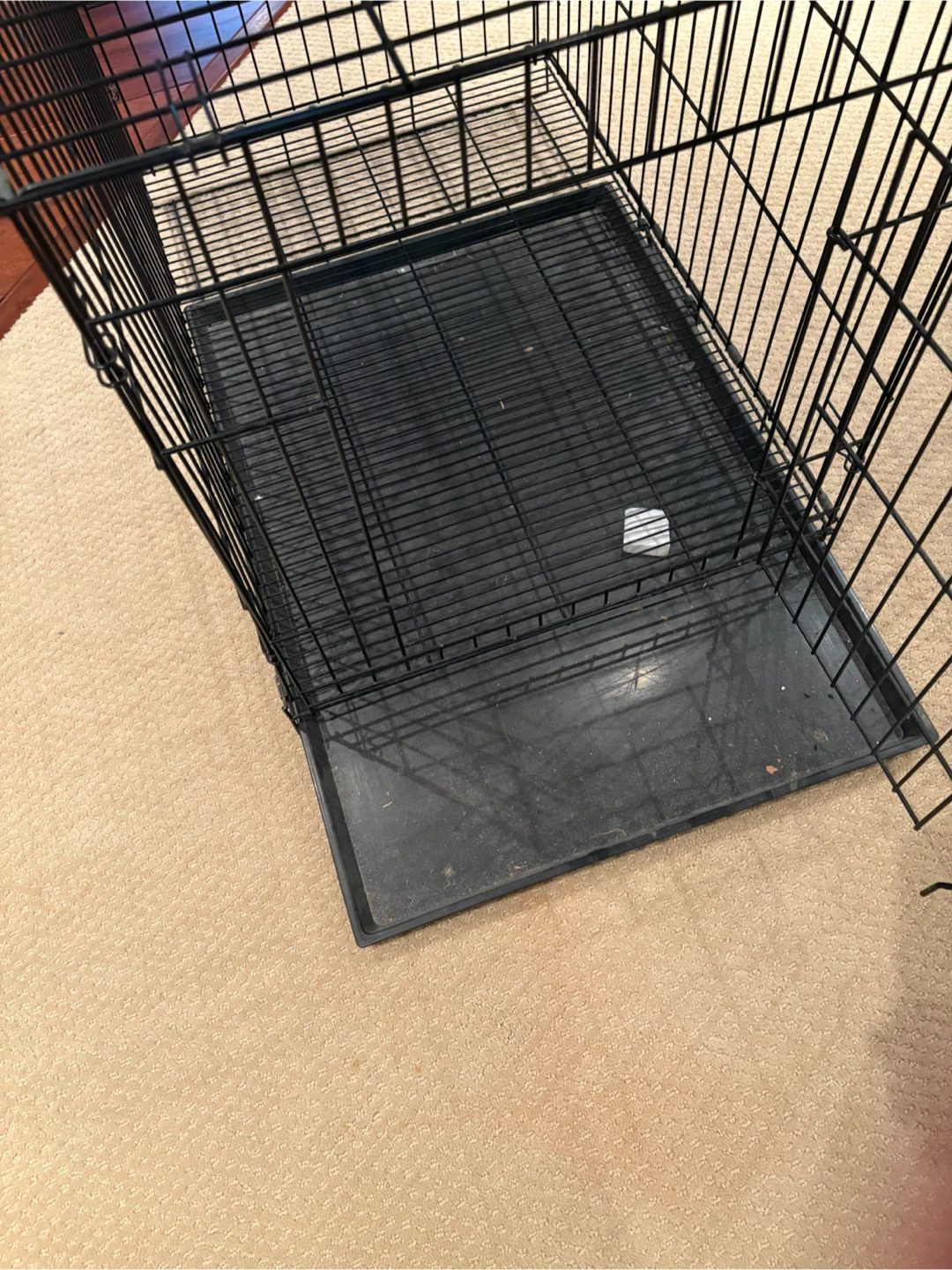 Wire Dog Crate with Tray - photo 3