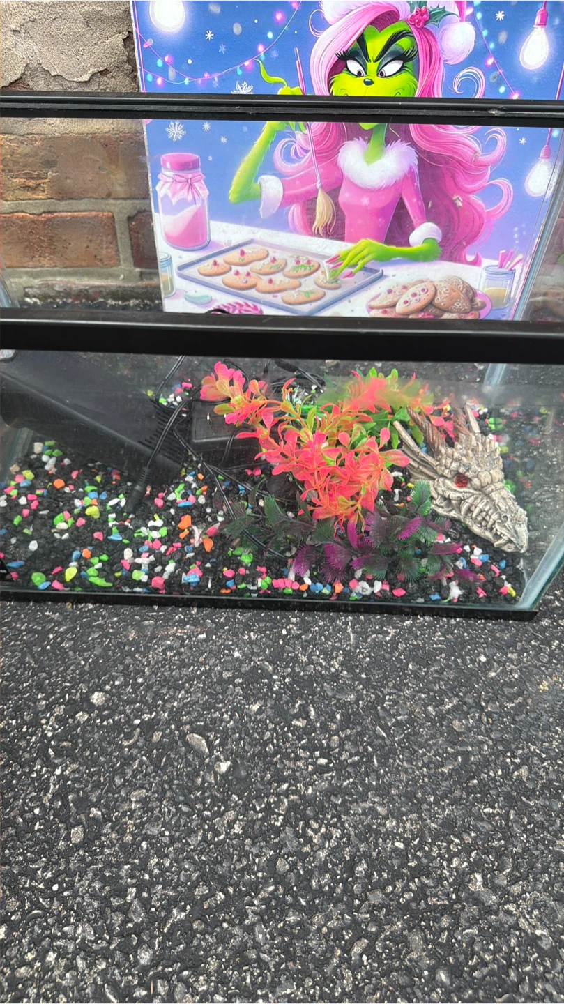 Aquarium with Dragon Head Decor and Filter