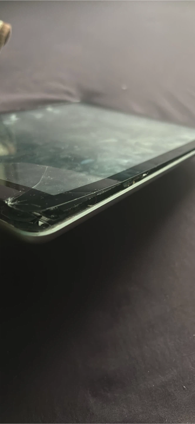 Apple iPad - photo 2
