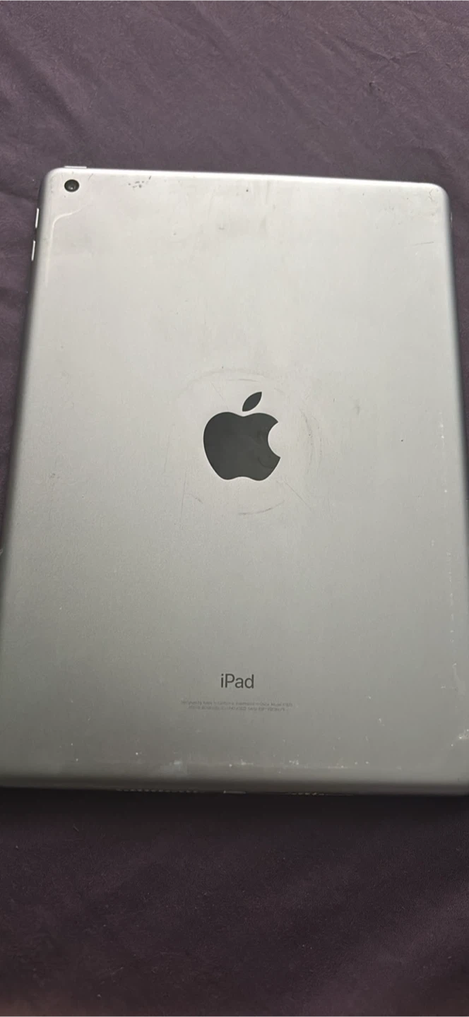 Apple iPad - photo 3
