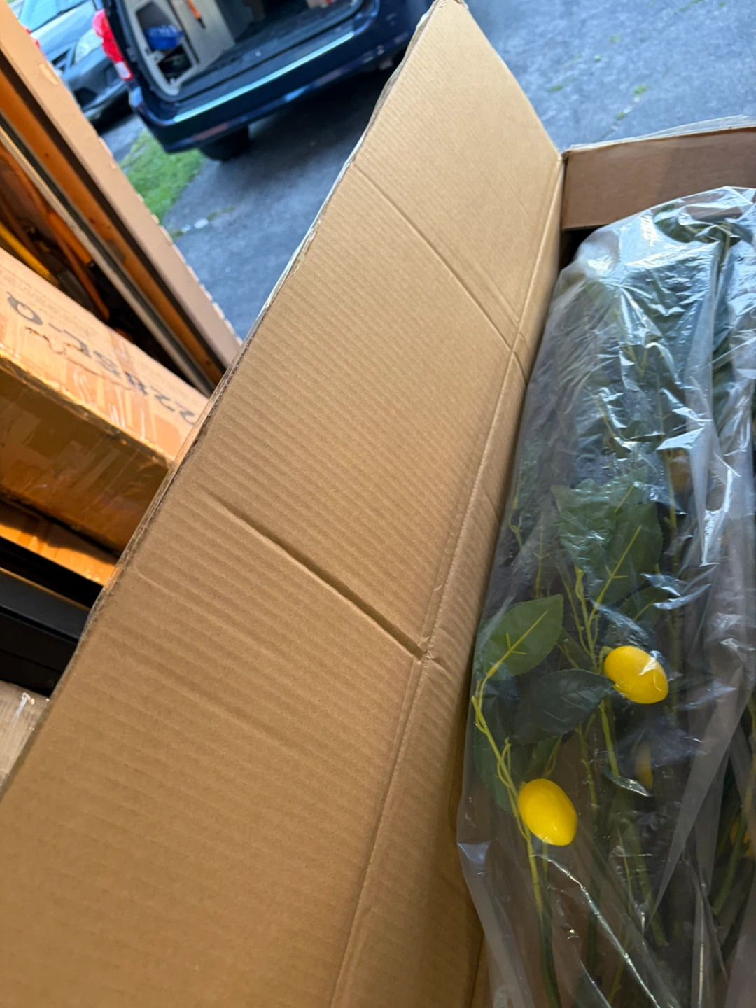 New! Artificial Lemon Tree - 63" Tall - photo 4