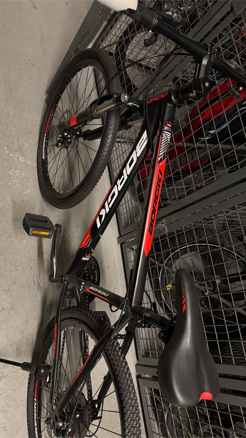 BORKI Mountain Bike - photo 2