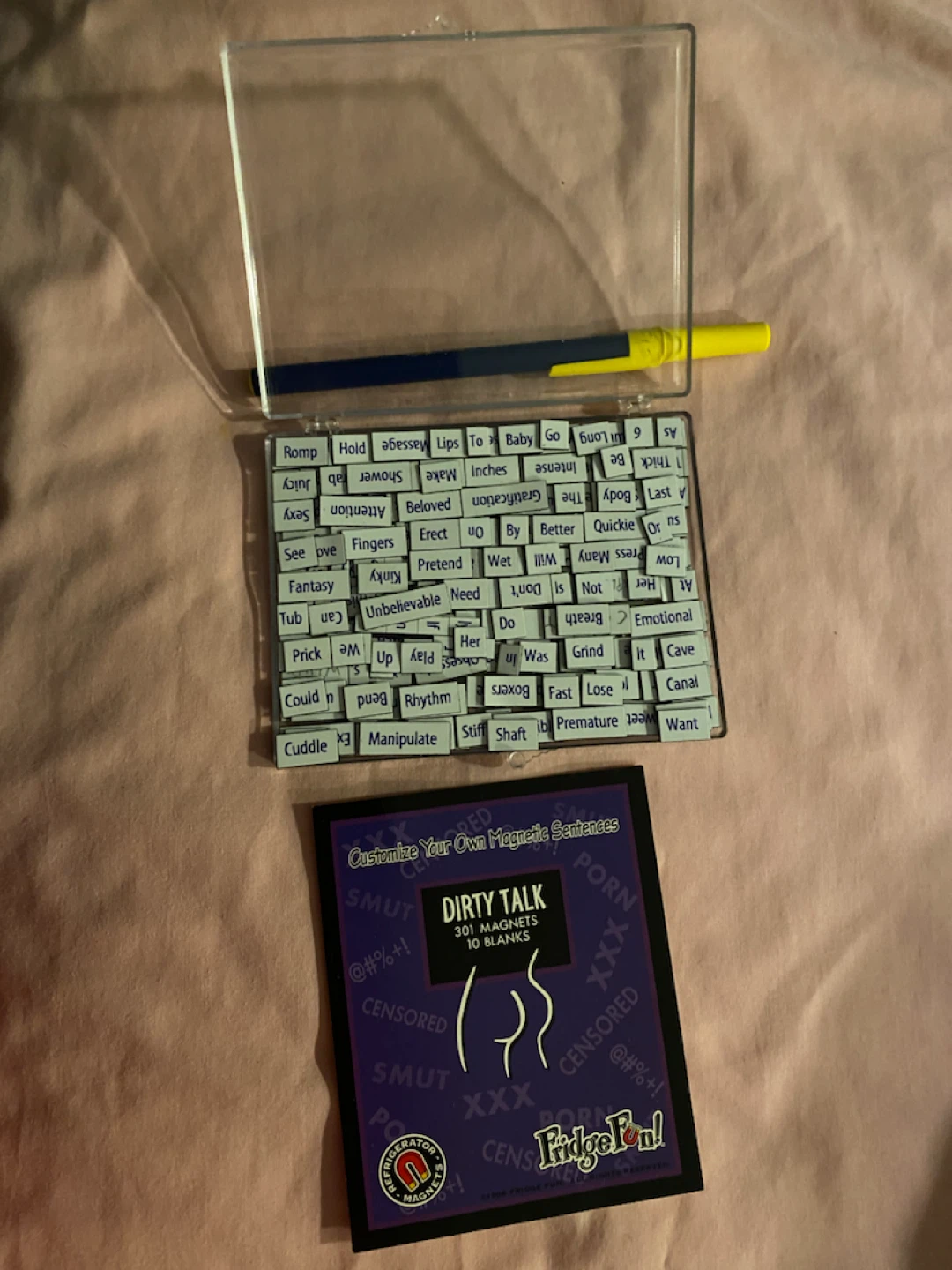 Fun Dirty Talk Magnetic Sentences