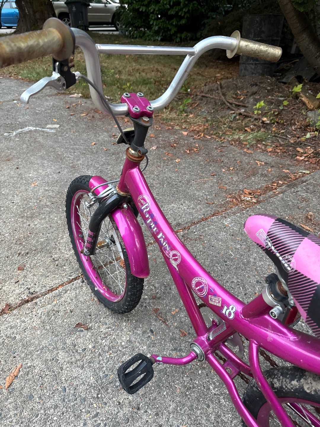 Pink Kids Bike with Training Wheels - photo 2