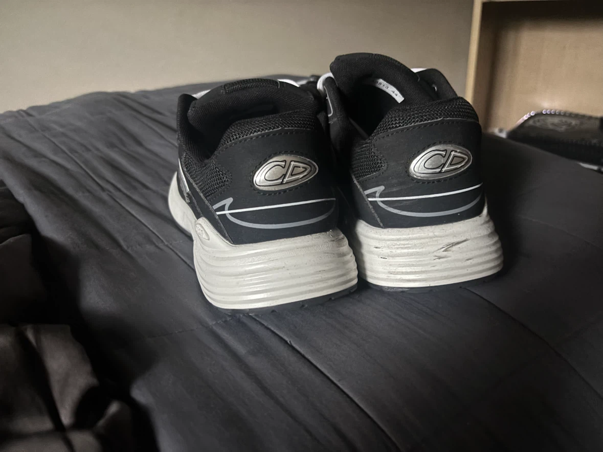 DIOR B30 Black&White - photo 4