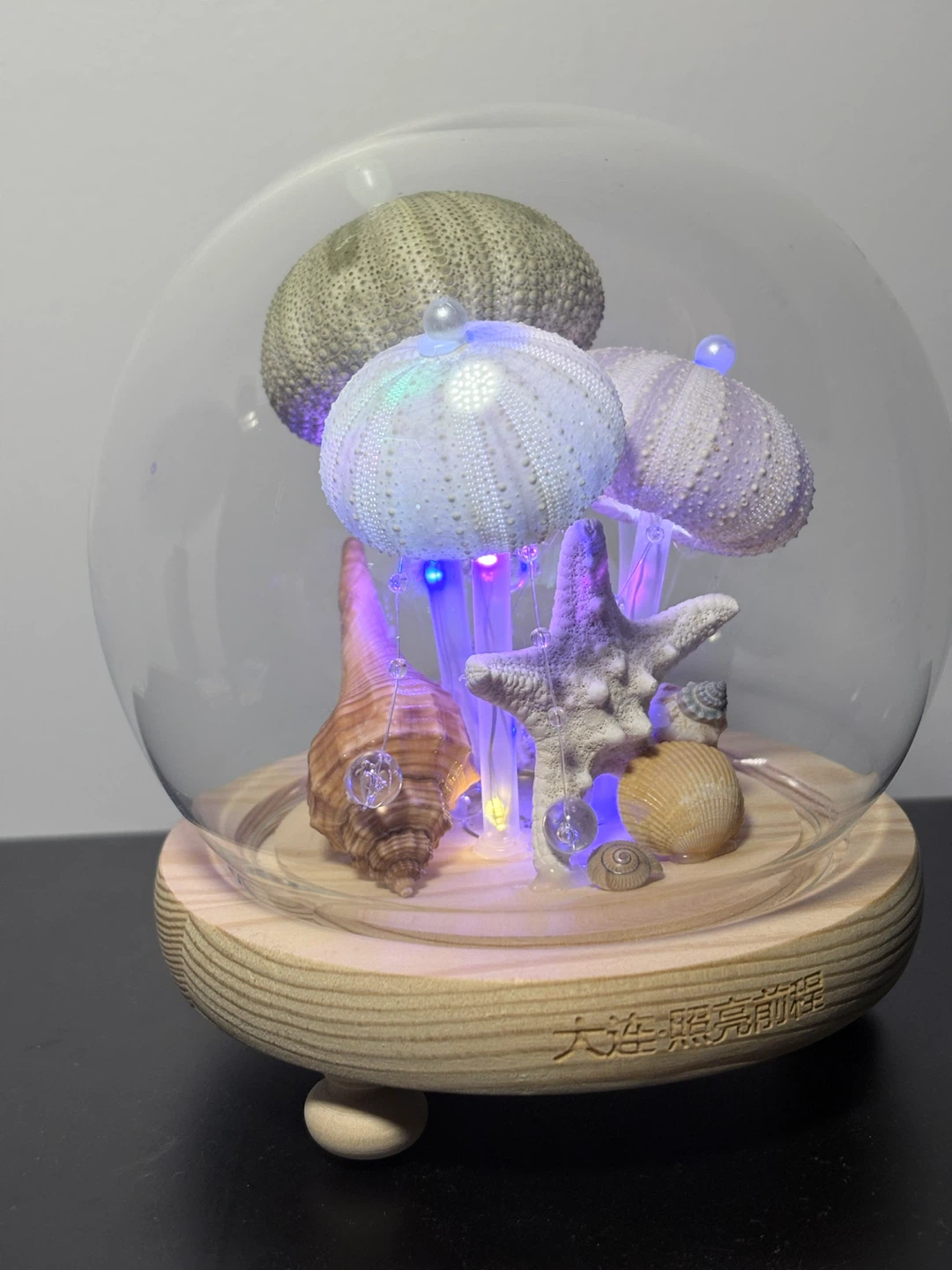 Decorative Seashell and Urchin Dome with Lights - photo 2