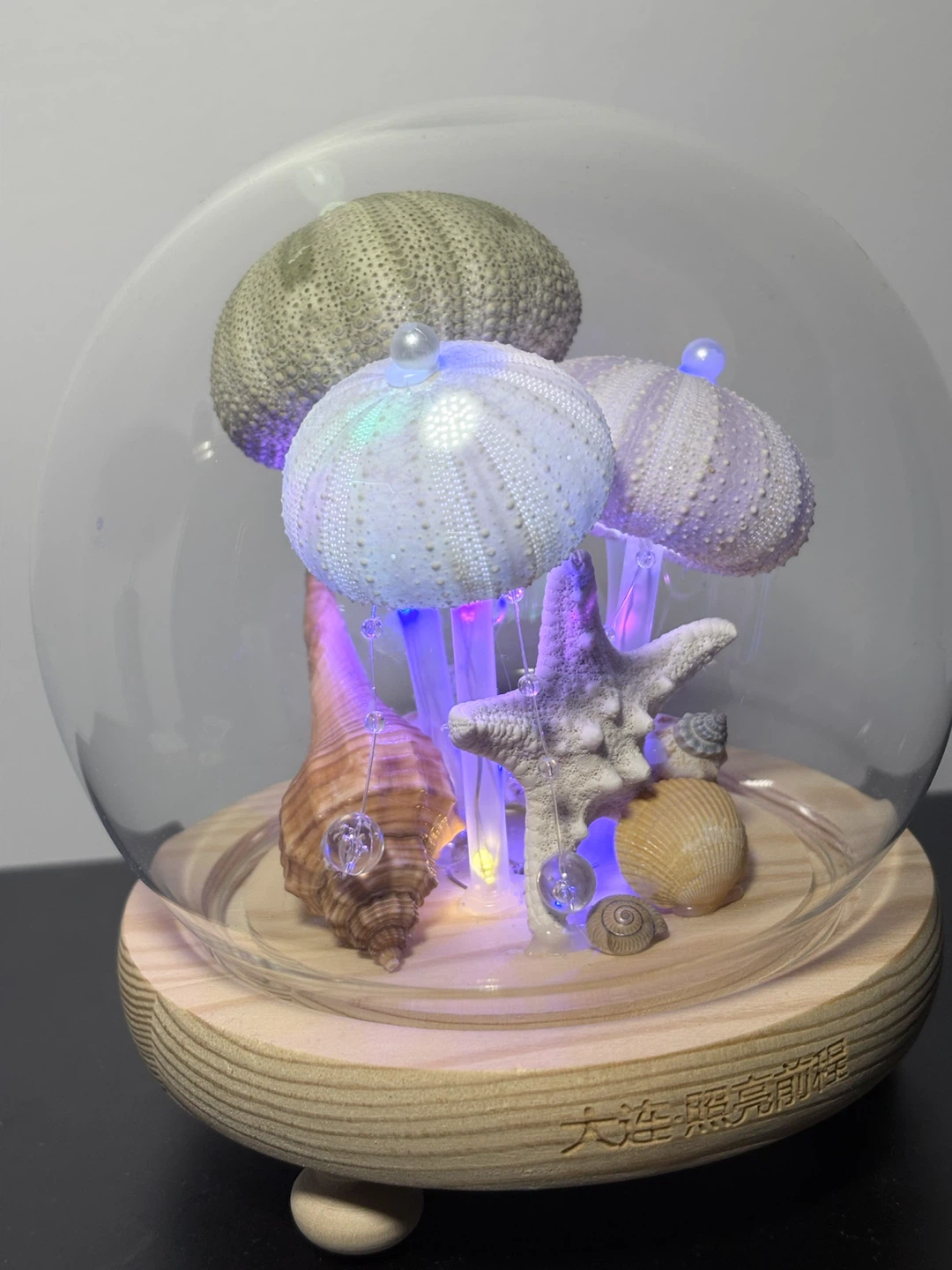 Decorative Seashell and Urchin Dome with Lights - photo 3