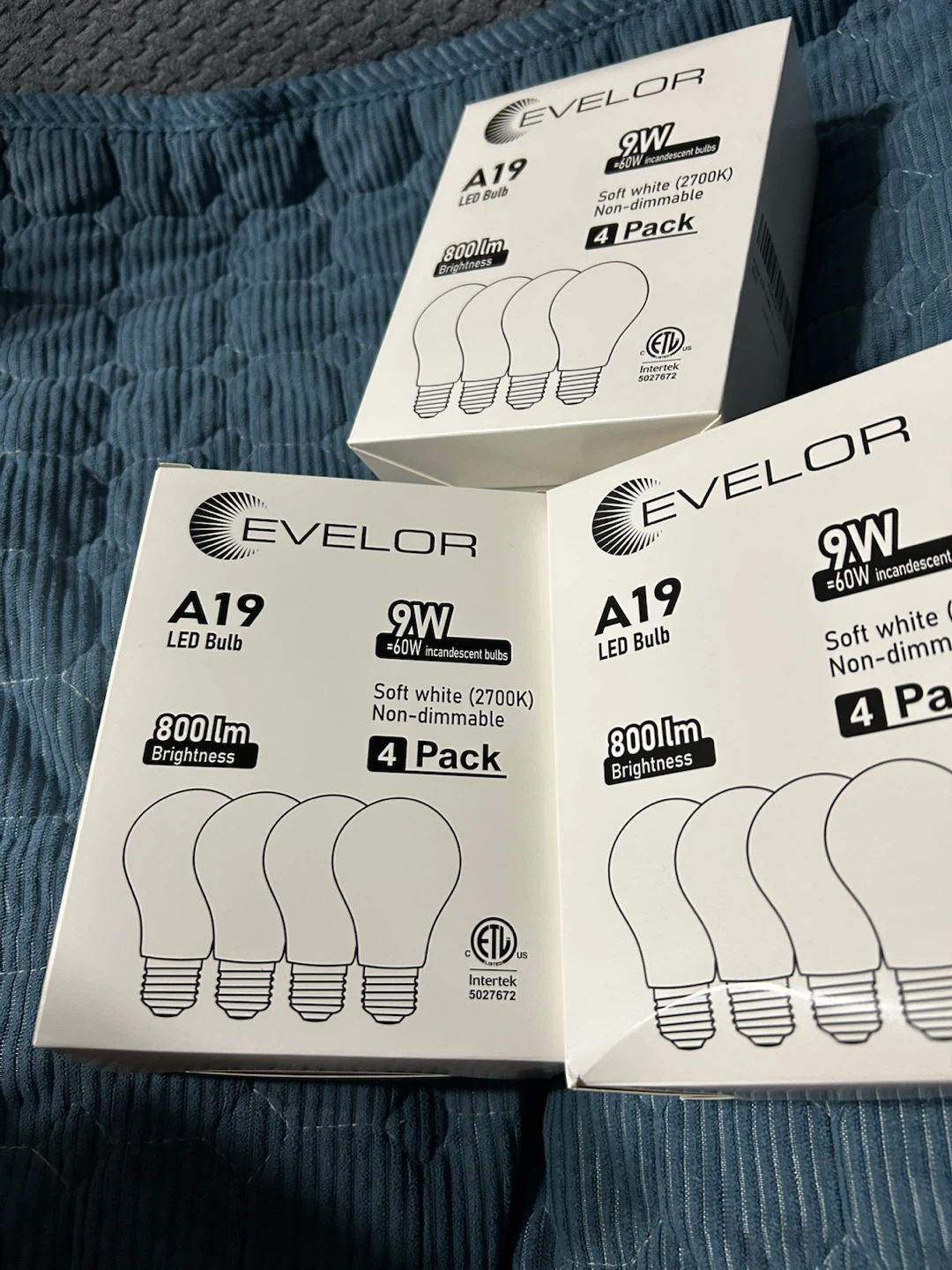 Evelor A19 LED Light Bulbs - 12 Pack - photo 4
