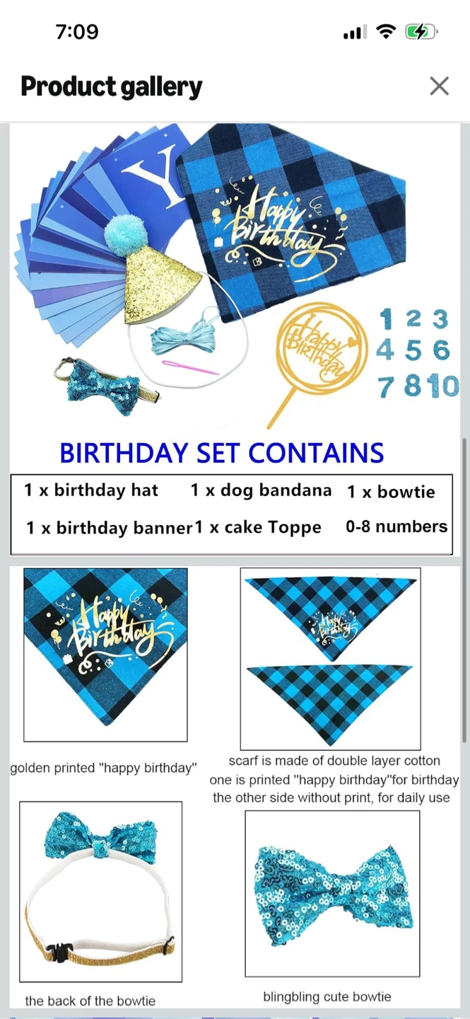 ADOGGYCO Dog Birthday Set - Blue Plaid Bandana, Hat & Bow tie - photo 2