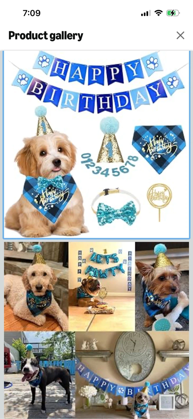 ADOGGYCO Dog Birthday Set - Blue Plaid Bandana, Hat & Bow tie - photo 3