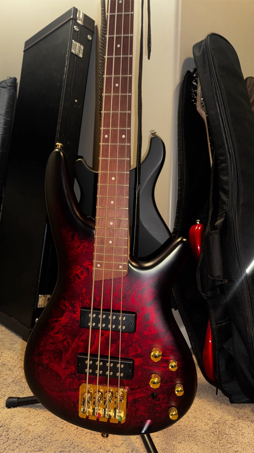 Ibanez SR300EDX SR Standard – Wine Red Frozen Matte - photo 2